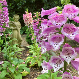 Charlotte Garden Club